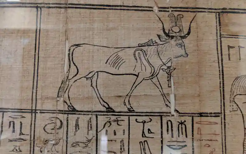 Book of the Dead of the mistress Neferini, cursive hieroglyphic | Ptolemaic Period, 4th - 1st century BC Akhmim Papyrus P 10477